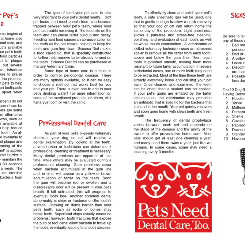 Dental Page 2