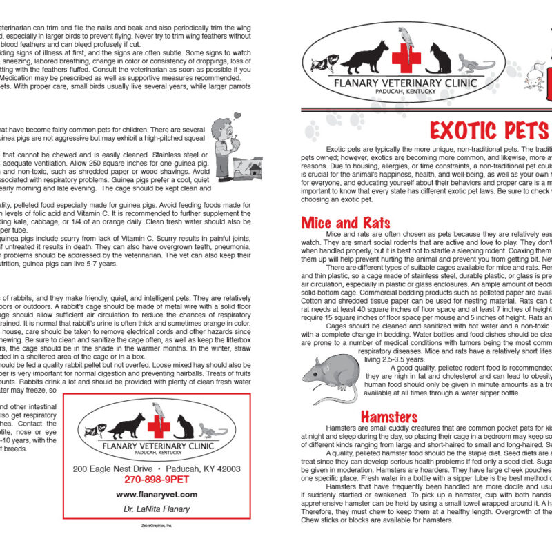 Exotic Page 1