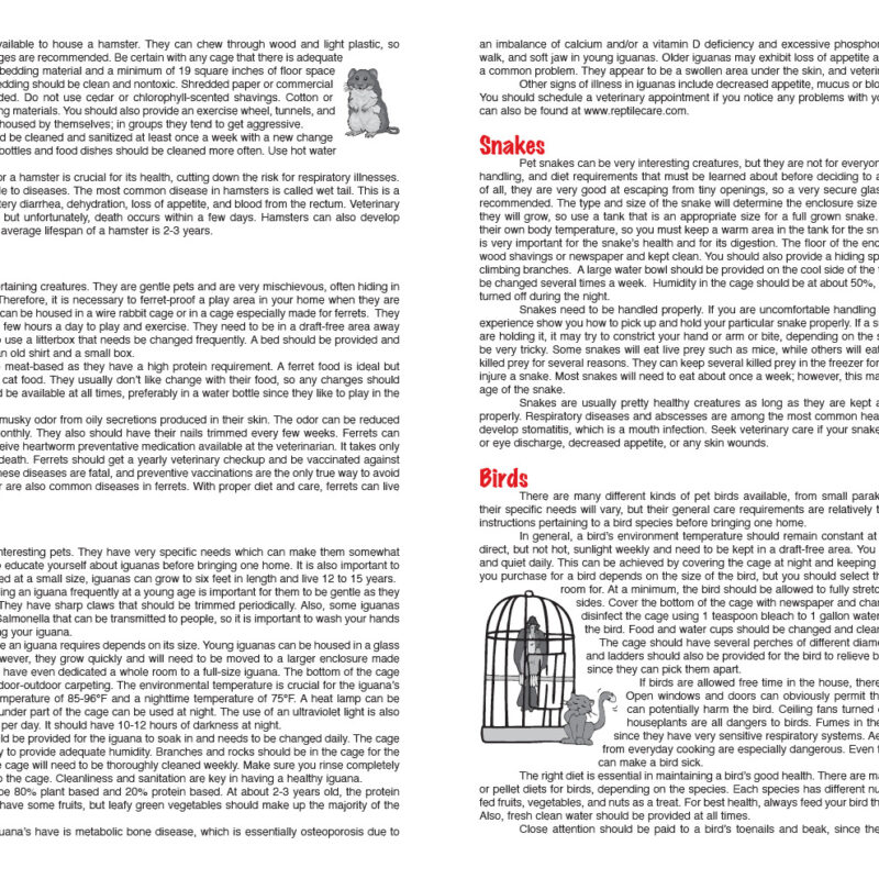Exotic Page 2