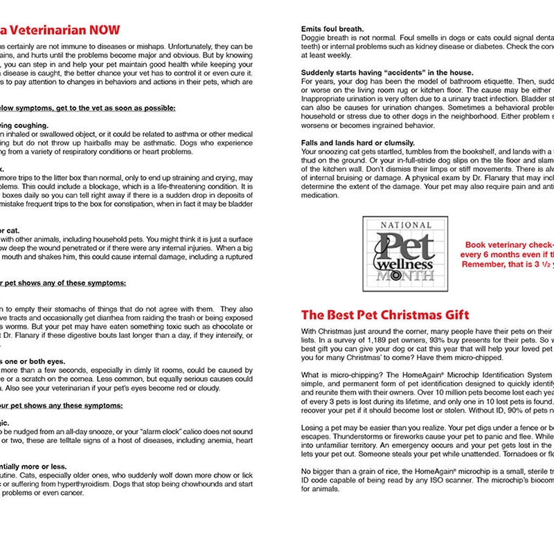 Holiday Page 2