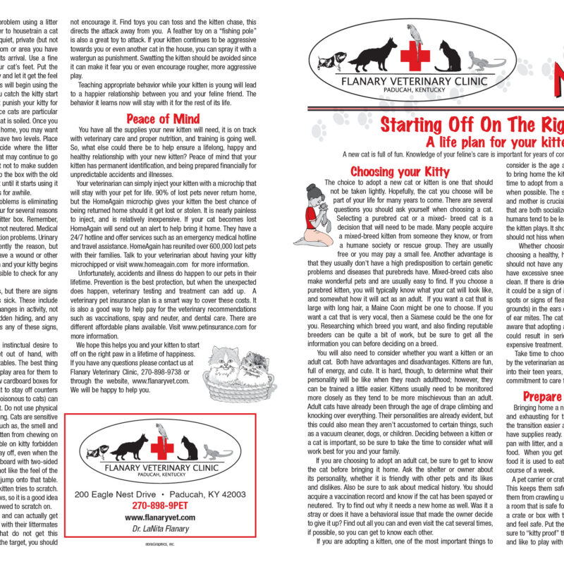 Kittens Page 1
