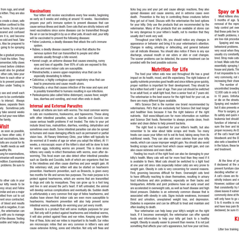 Kittens Page 2