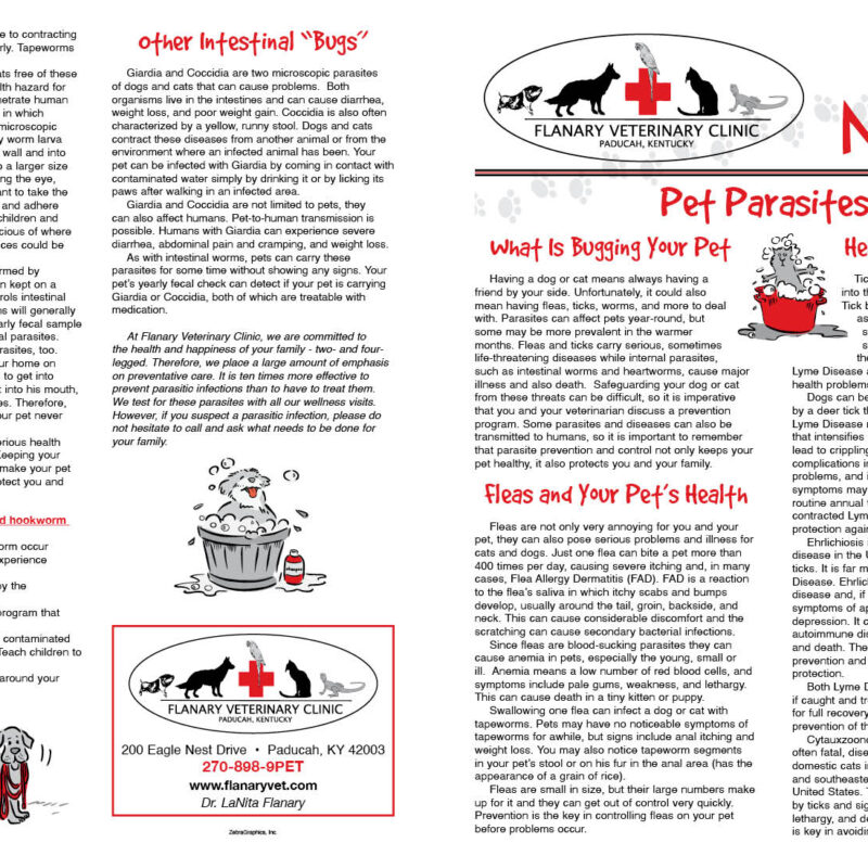 Pet Parasites Page 1