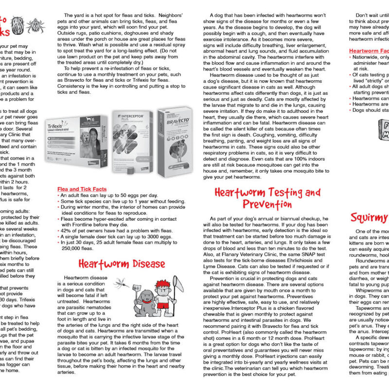 Pet Parasites Page 2