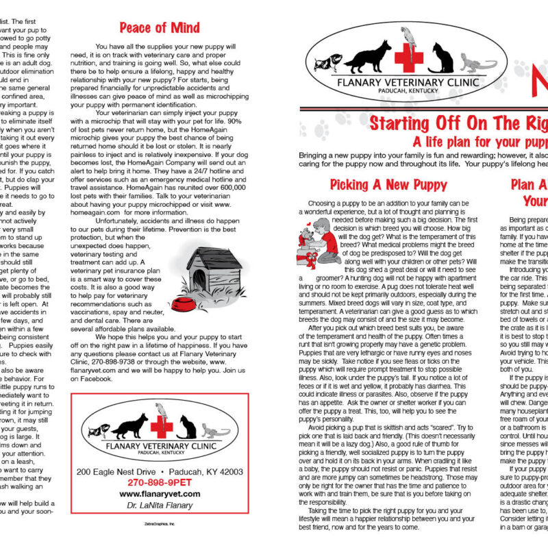 Puppies Page 1