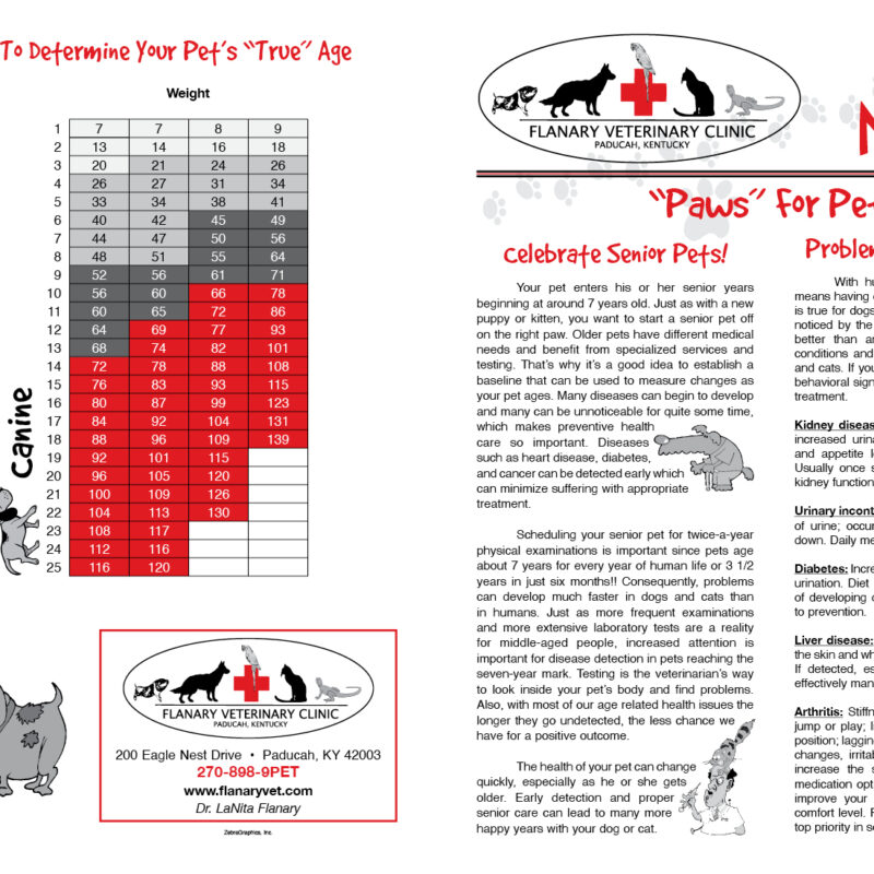 Senior Pets Page 1