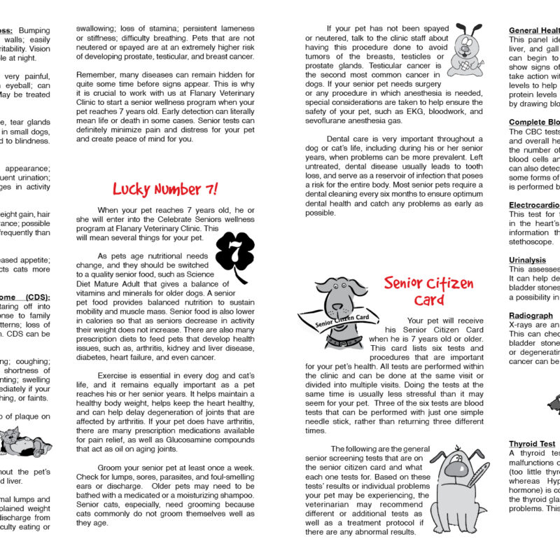 Senior Pets Page 2