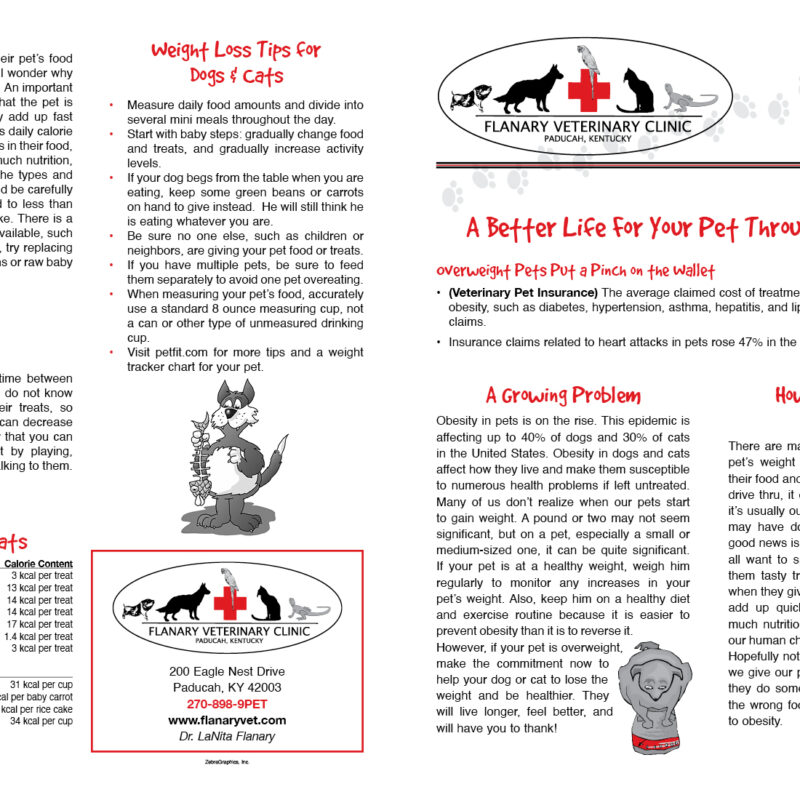 Weight Loss Page 1