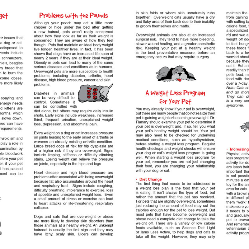Weight Loss Page 2