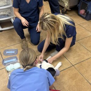 tour_pic1_800x800_09-25